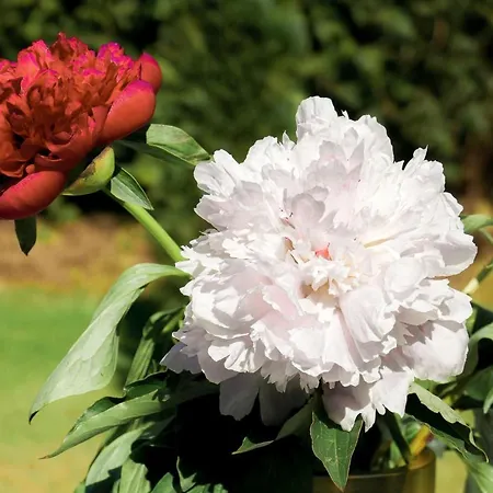 Hb14 - Nordseeglueck شقة *